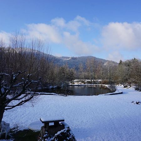 La Maison Et L'Etang - Grand Terrain Prive Vagney Экстерьер фото