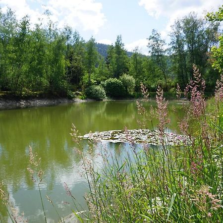 La Maison Et L'Etang - Grand Terrain Prive Vagney Экстерьер фото