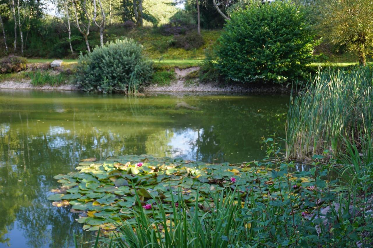 La Maison Et L'Etang - Grand Terrain Prive Vagney Экстерьер фото