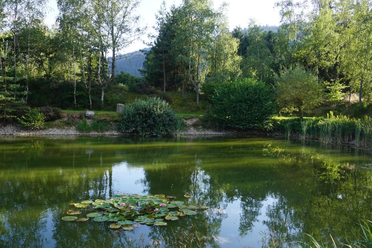 La Maison Et L'Etang - Grand Terrain Prive Vagney Экстерьер фото