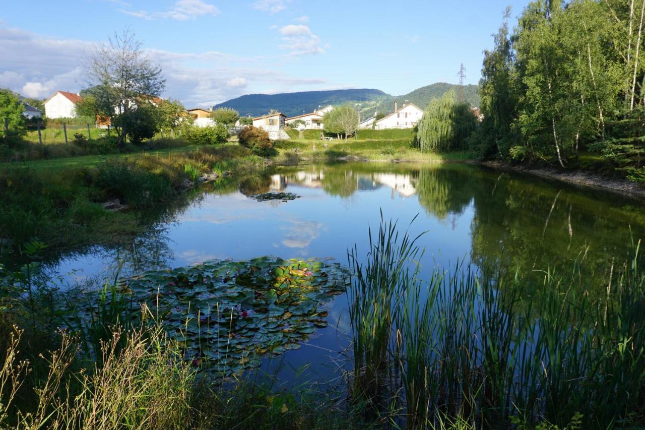 La Maison Et L'Etang - Grand Terrain Prive Vagney Экстерьер фото