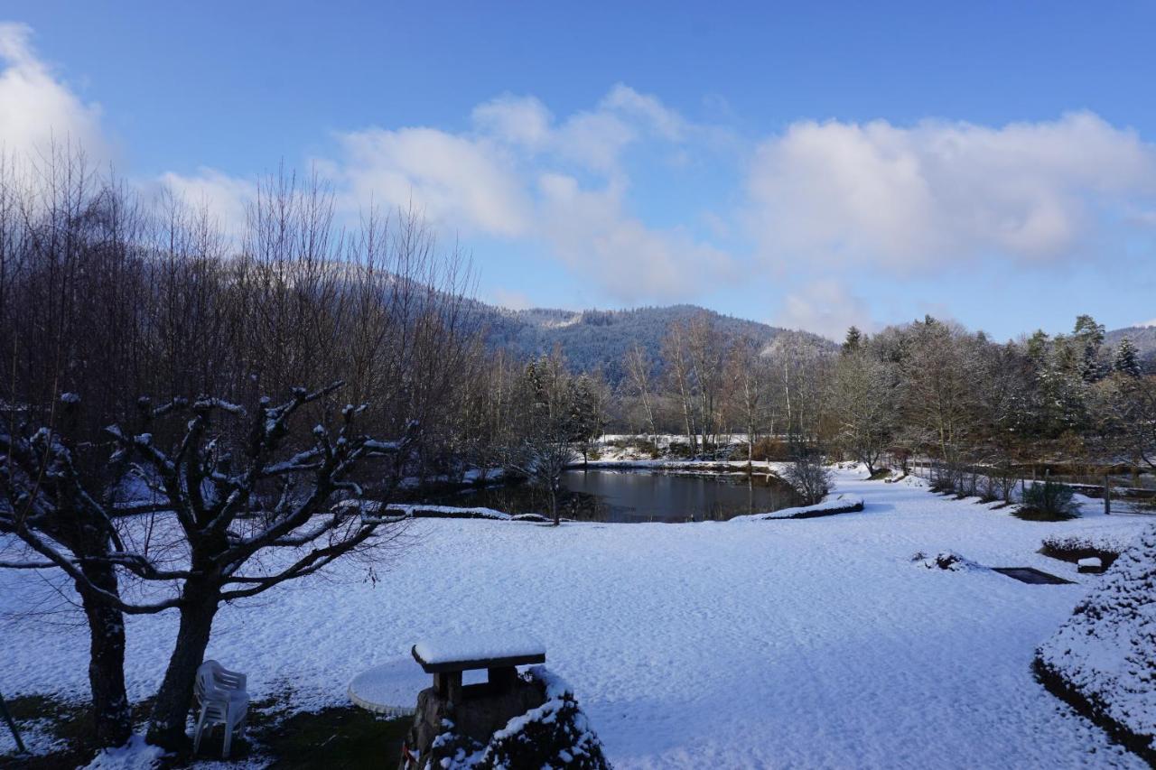 La Maison Et L'Etang - Grand Terrain Prive Vagney Экстерьер фото