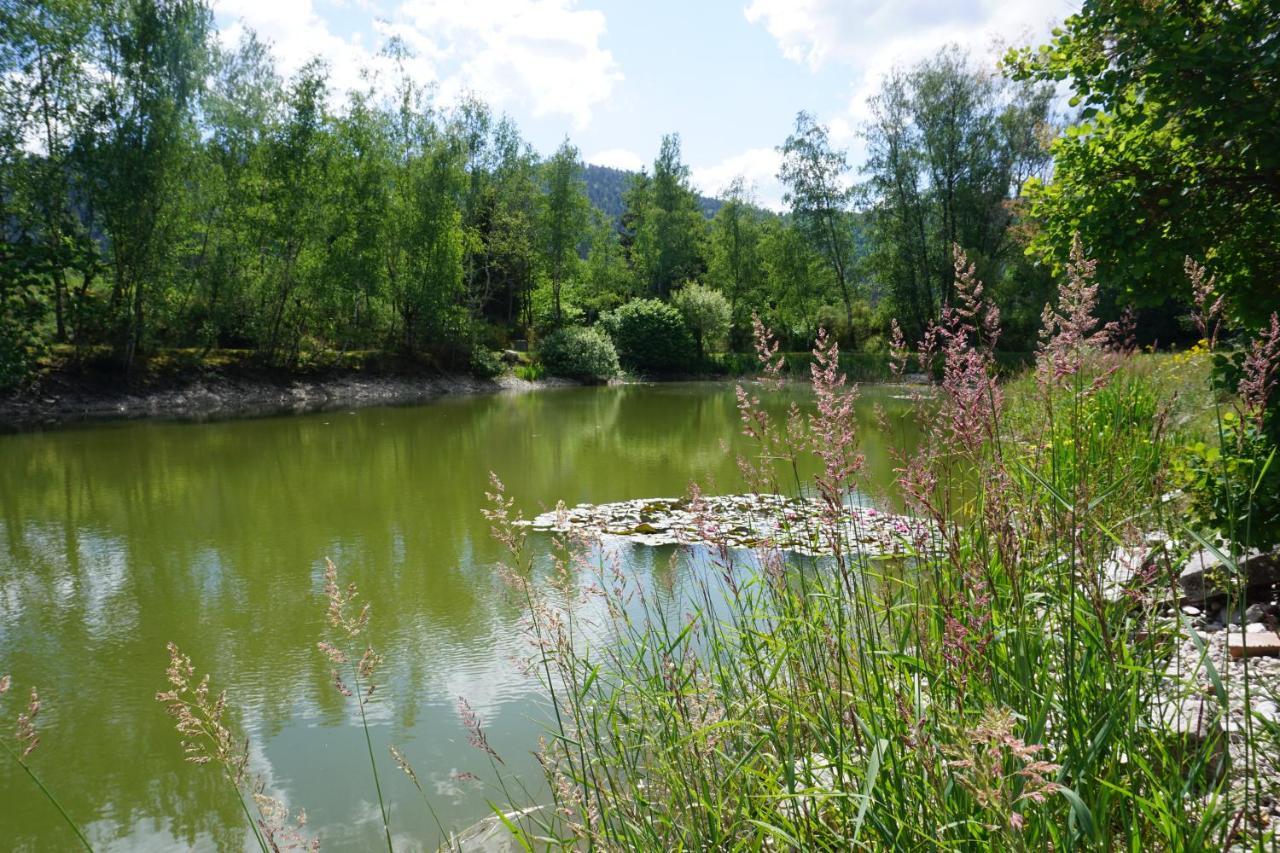 La Maison Et L'Etang - Grand Terrain Prive Vagney Экстерьер фото